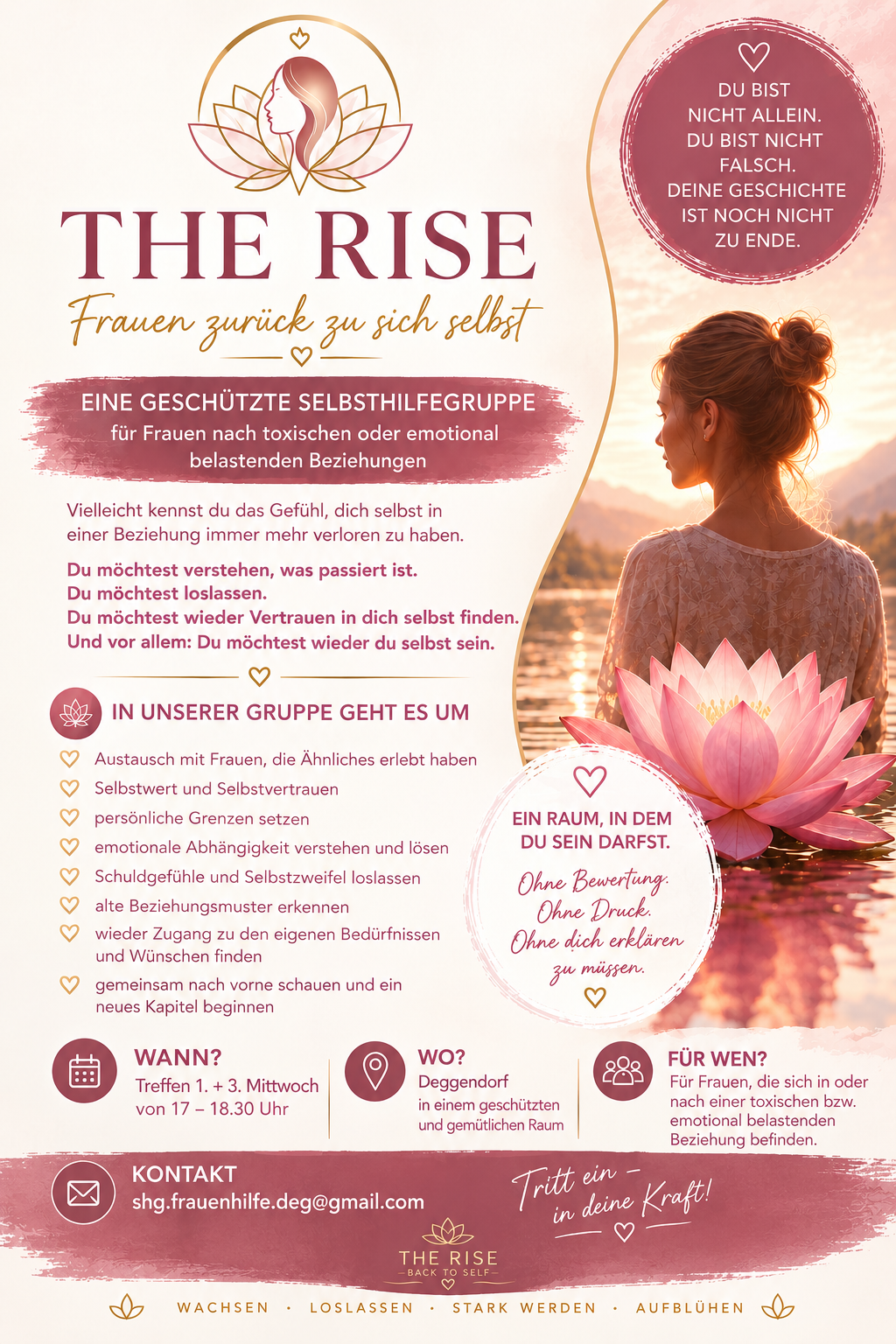 Flyer The Rise